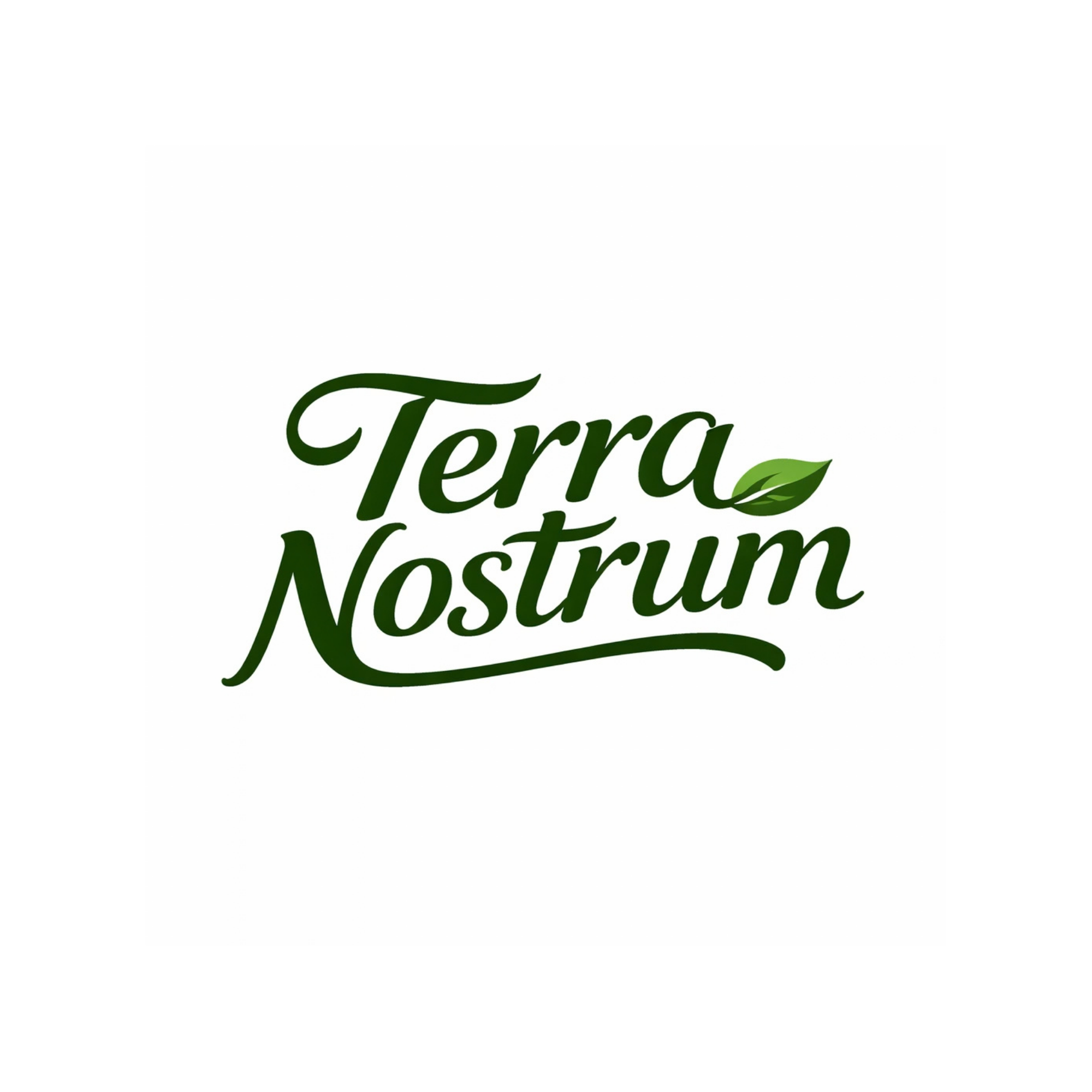 Internacionalización digital y sostenible terra